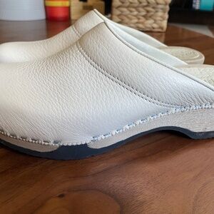 Beautiful Magnified Danish Clogs